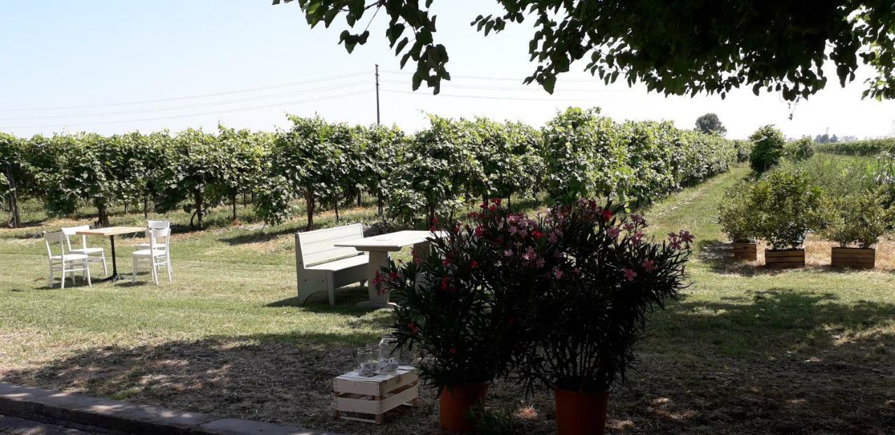 Agriturismo Vitae Fabbrico Exterior photo